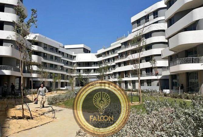 68016300 - صورة العقار 3