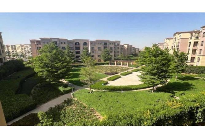 8589678 - Property Image 2