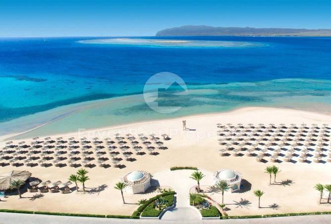 66426053 - Property Image 2