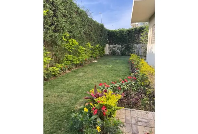 116743703 - Property Image 3