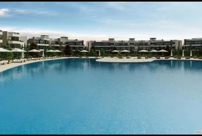121655646 - Property Image 3