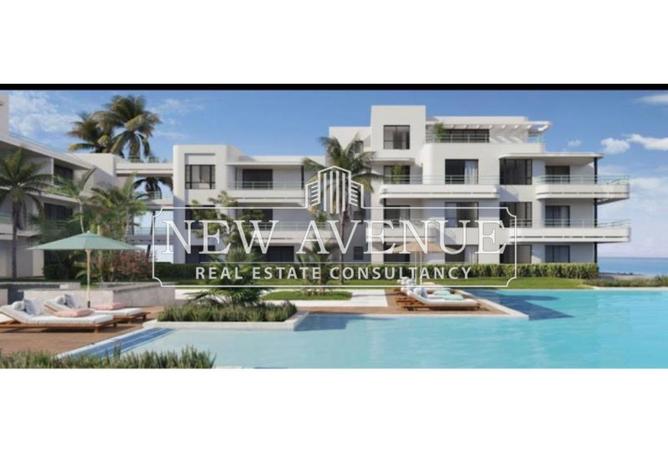 8431101 - صورة العقار 3