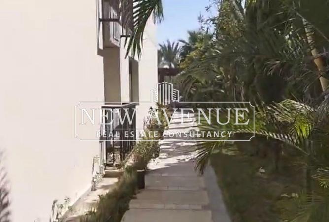 54487418 - صورة العقار 3