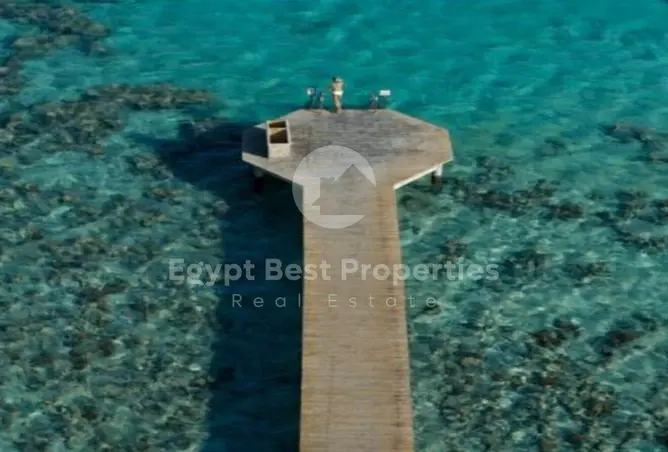 115159391 - Property Image 3