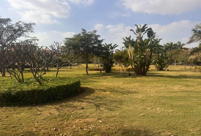 61691872 - صورة العقار 2