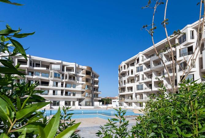 70356857 - Property Image 3