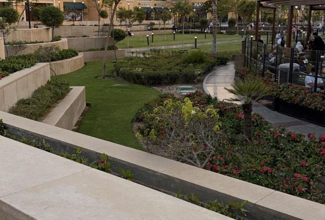 80794171 - صورة العقار 3