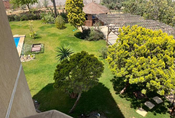 70623733 - صورة العقار 3