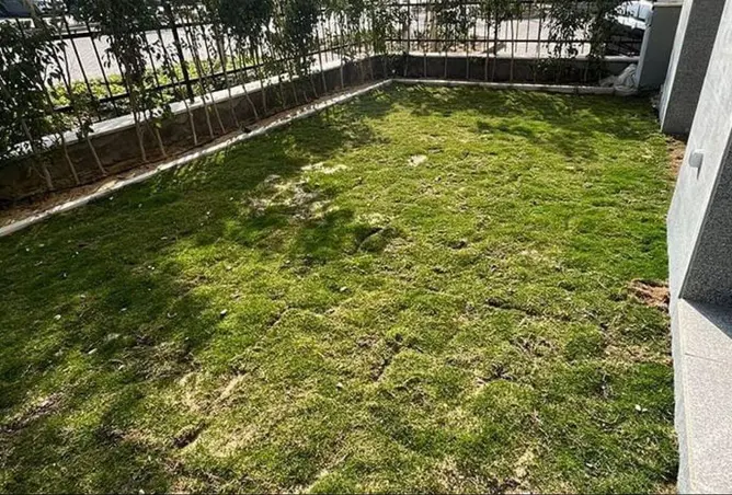 75394151 - Property Image 3