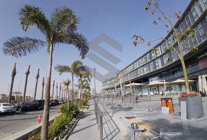 65155292 - Property Image 2