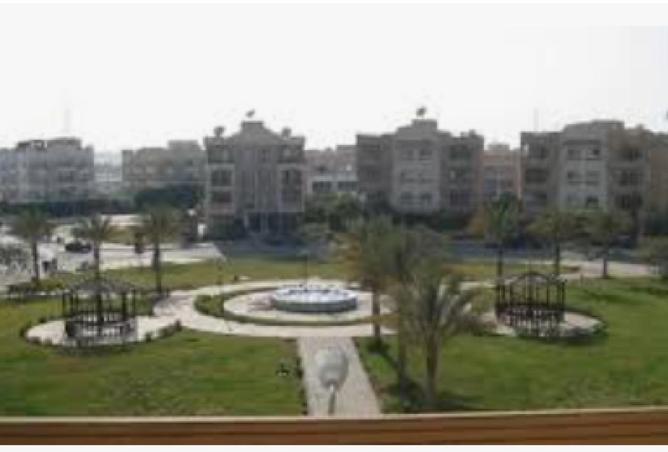 61924630 - صورة العقار 3