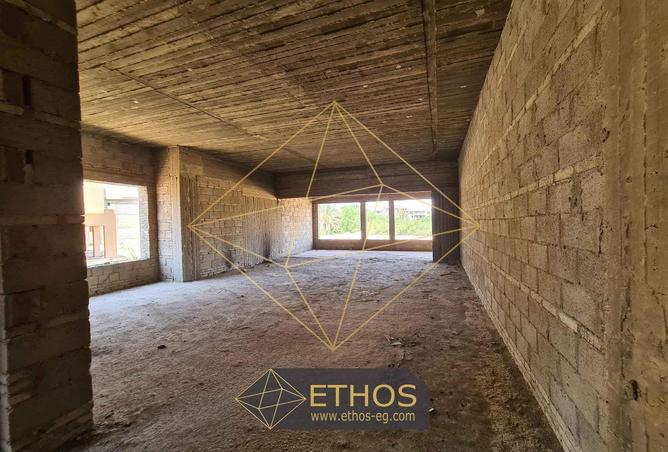 59249538 - Property Main Image