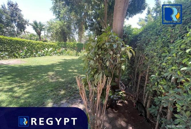 8619136 - Property Image 2