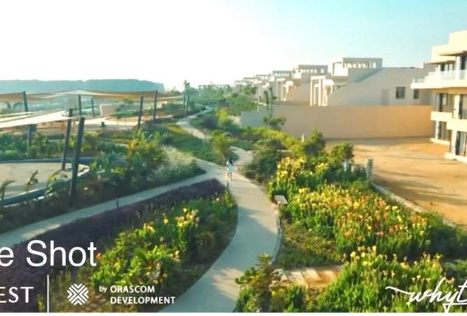 55745617 - Property Image 3