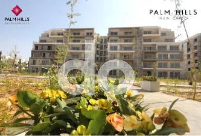 64384393 - Property Image 3