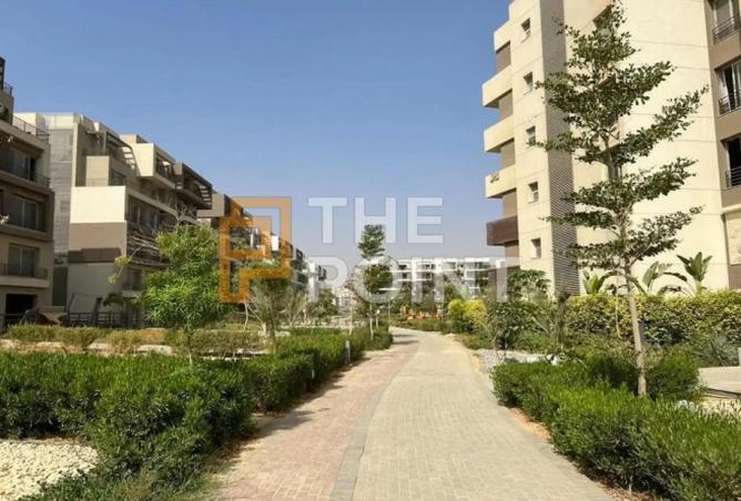 8620336 - Property Image 3