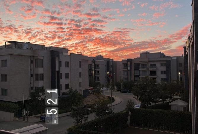 61689604 - Property Image 2