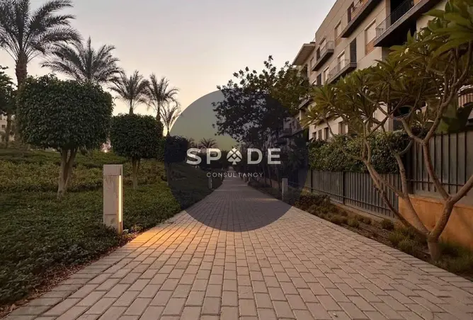 120878800 - Property Image 3