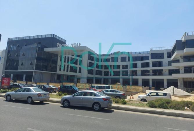 67997946 - صورة العقار 3