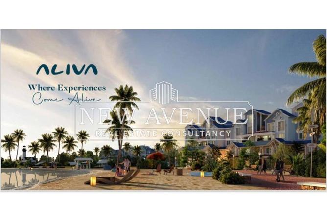 53984471 - صورة العقار 3