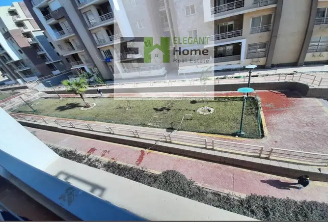 116497311 - Property Image 3