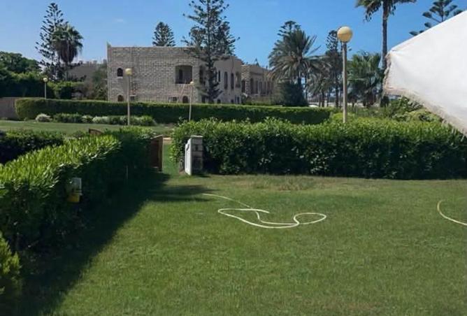 99384215 - الصورة الرئيسية للعقار