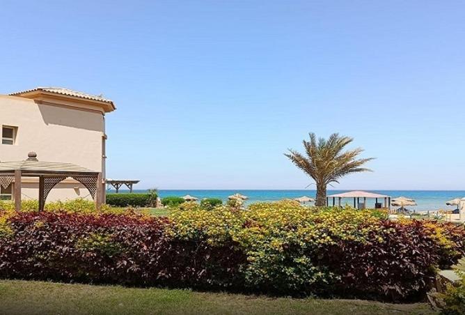 8646784 - Property Image 3