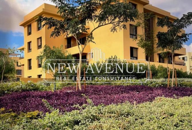 70087506 - Property Image 2