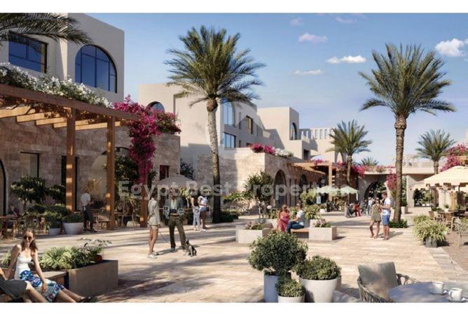 8561584 - Property Image 2