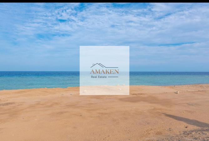 62894077 - Property Image 3