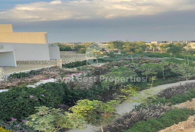 68260864 - صورة العقار 2