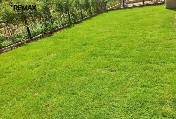 119854555 - Property Image 3