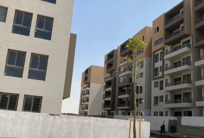 71656834 - Property Image 3