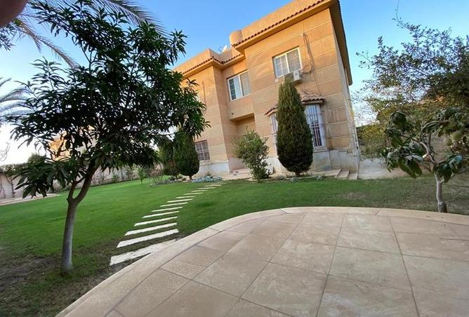 64890890 - صورة العقار 3