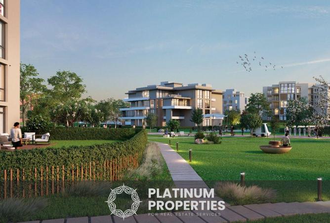 8595350 - Property Image 3