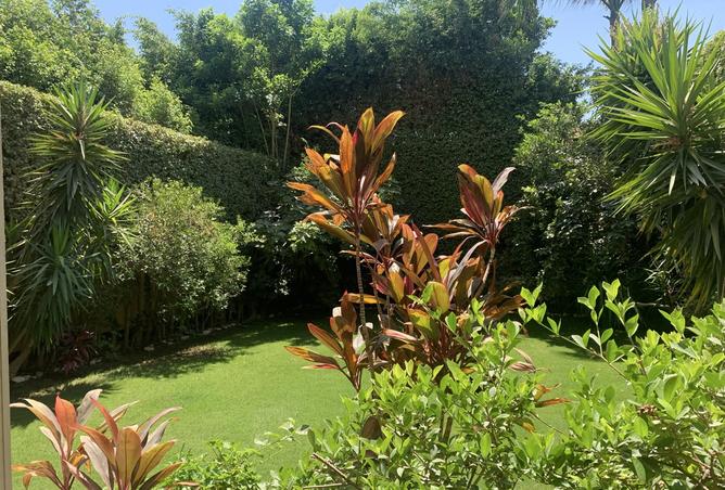 98547506 - صورة العقار 2