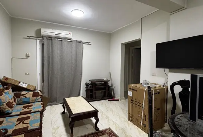 116496753 - Property Image 3