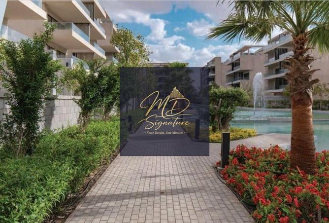 70628731 - Property Image 2