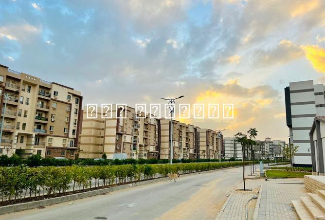 8505559 - Property Main Image