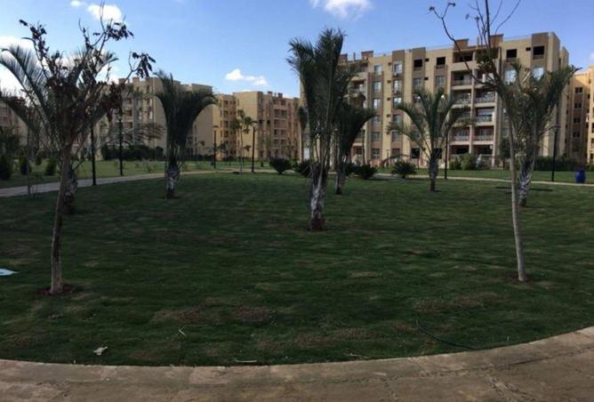 71660620 - الصورة الرئيسية للعقار