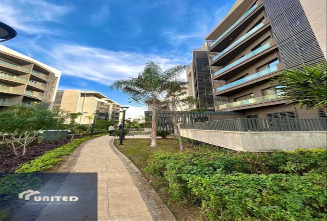 8522368 - Property Image 2