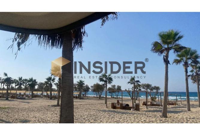 8563951 - Property Image 3