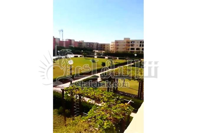 55506366 - صورة العقار 3