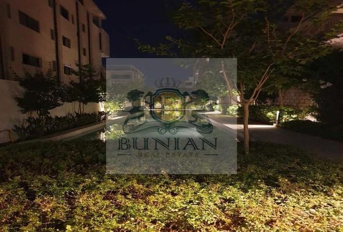 8586486 - Property Image 3