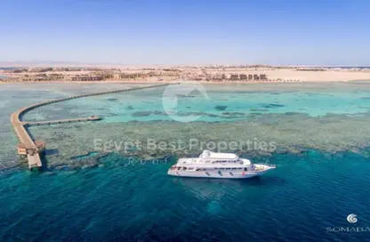 Chalet - 1 Bedroom - 1 Bathroom for sale in Mangroovy Residence - El Gouna - Hurghada - Red Sea Chalet - 1 Bedroom - 1 Bathroom for sale in Mangroovy Residence - El Gouna - Hurghada - Red Sea