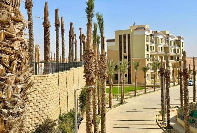 81314461 - صورة العقار 3