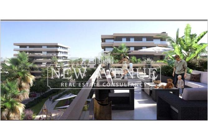 8644724 - Property Image 3