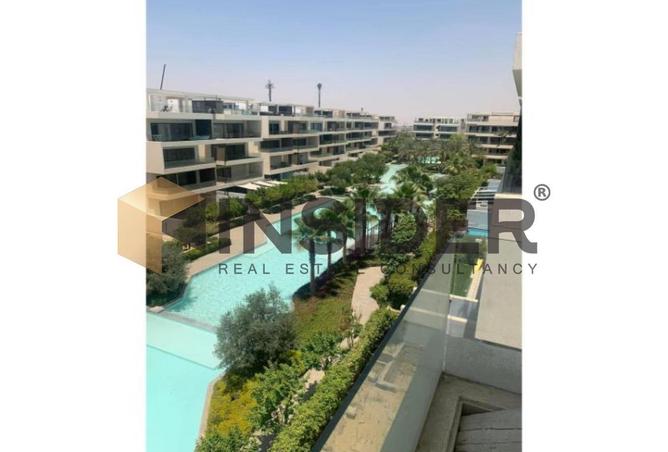 8597787 - Property Image 3