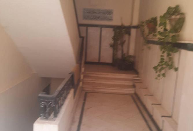 57493773 - صورة العقار 2