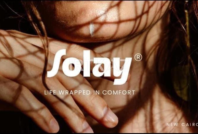 54746292 - Property Image 3